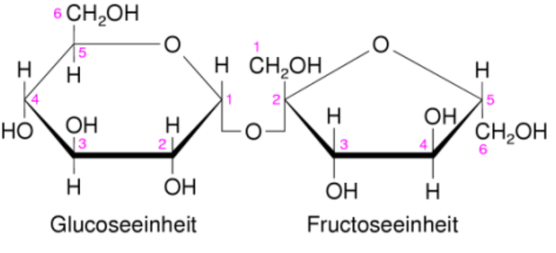 Schematische Ringstrukturen von Glucose- und Fructoseeinheiten mit OH-Gruppen und Positionsnummern